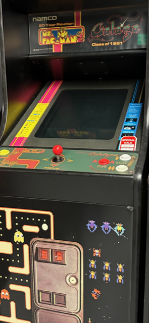 MS. PAC-MAN/GALAGA CLASS OF 1981 25
